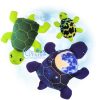 OAD Turtle Stuffies Multi ASH 80072