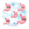 OAD Stomach Feltie AHS 2000 Stomach Feltie