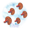 OAD Kidney Feltie 2000 Kidney Feltie