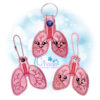 OAD Lung KC 2000 Lung Key Chain