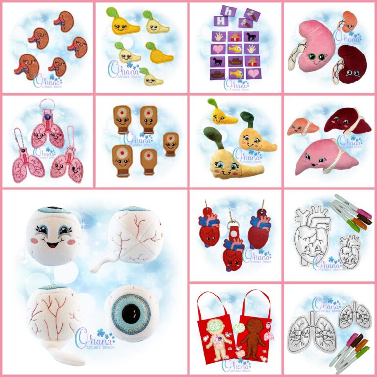 Anatomy Week Bundle