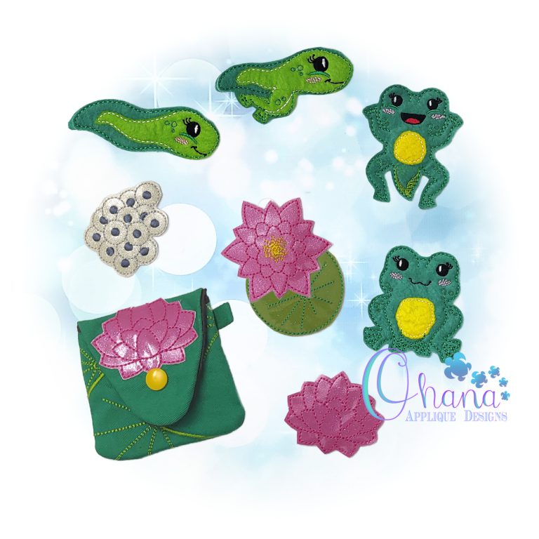 Frog Life Cycle Coin