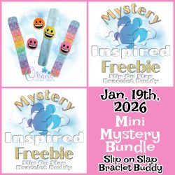 January 19th - Slip On Slap Bracelet Mini Mystery Bundle – 2026