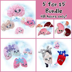 June 2nd 2026 - Anatomy Stuffie Bundle